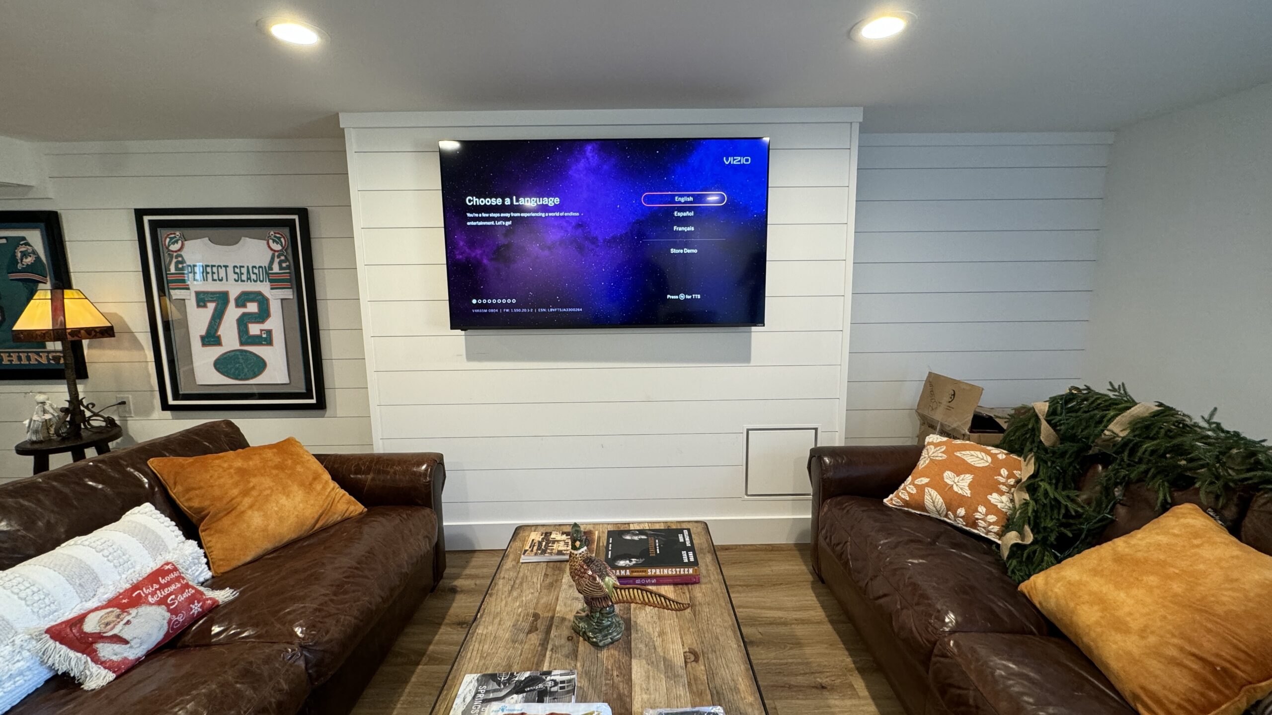 TV Mounting in hudson county, nj